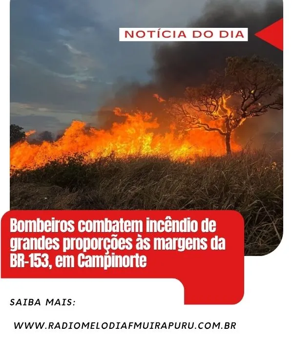 Imagem / Divulgação 
